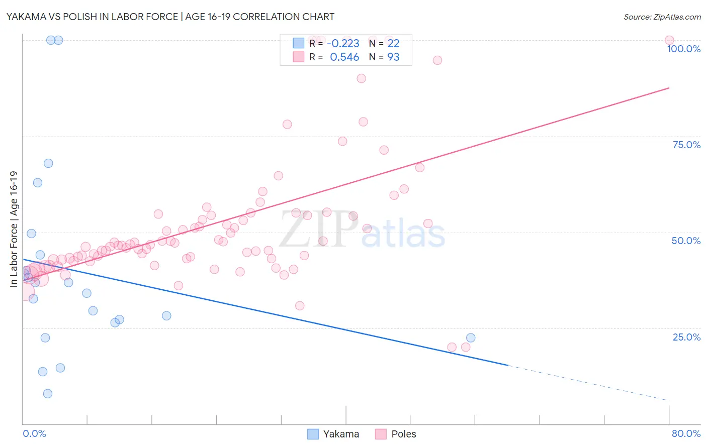 Yakama vs Polish In Labor Force | Age 16-19