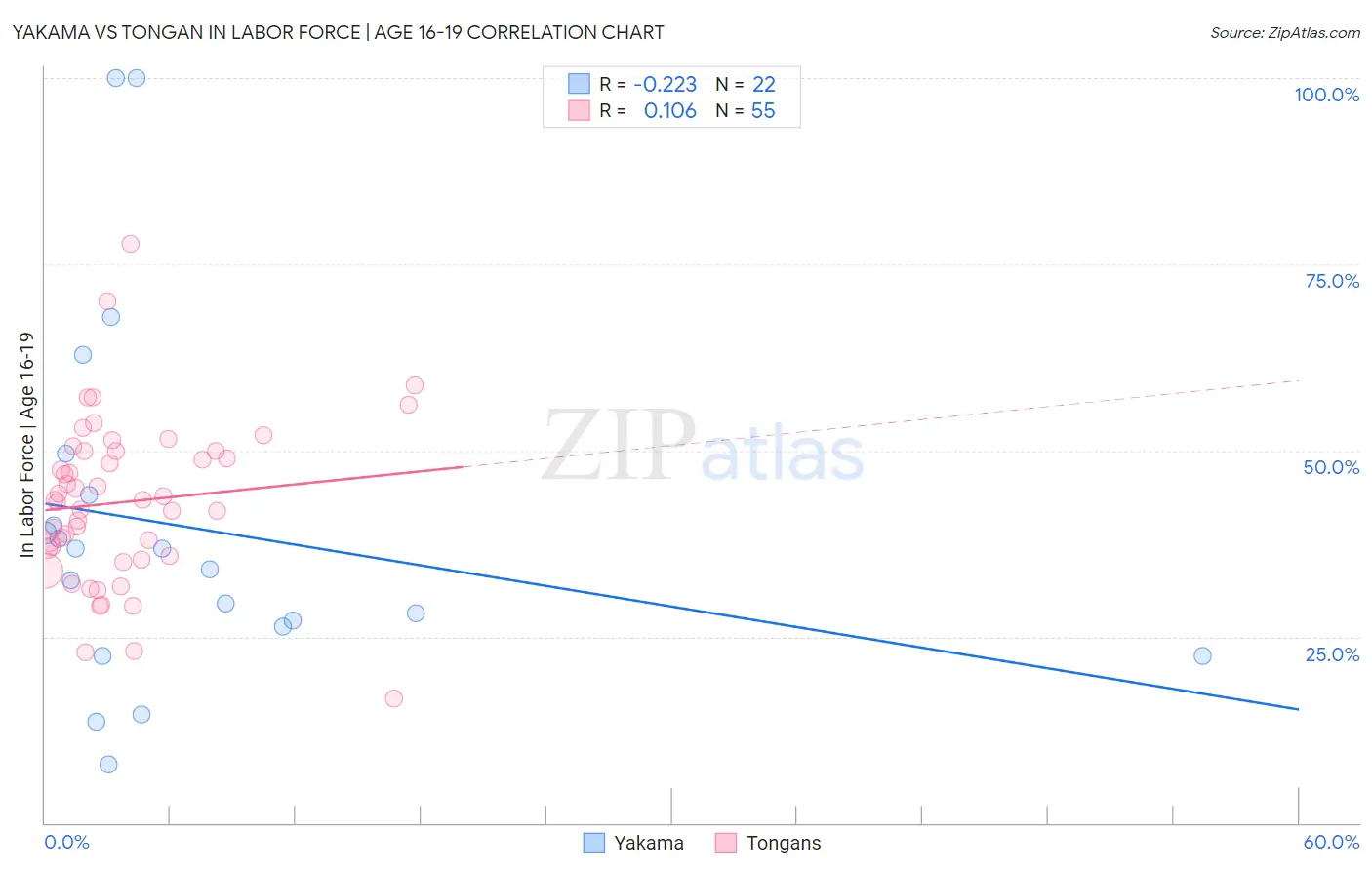 Yakama vs Tongan In Labor Force | Age 16-19