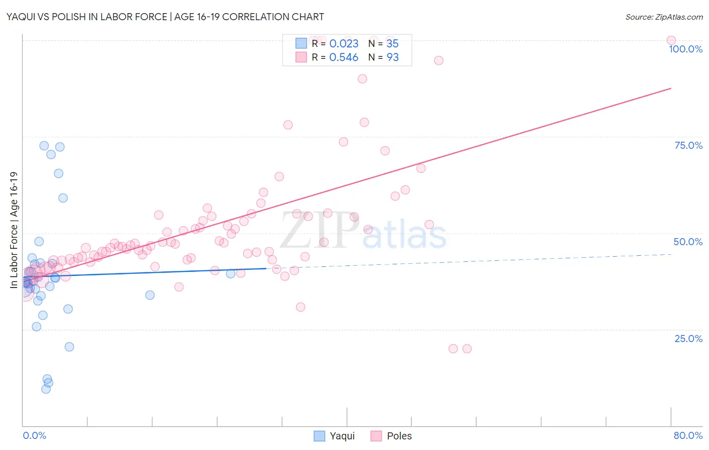 Yaqui vs Polish In Labor Force | Age 16-19