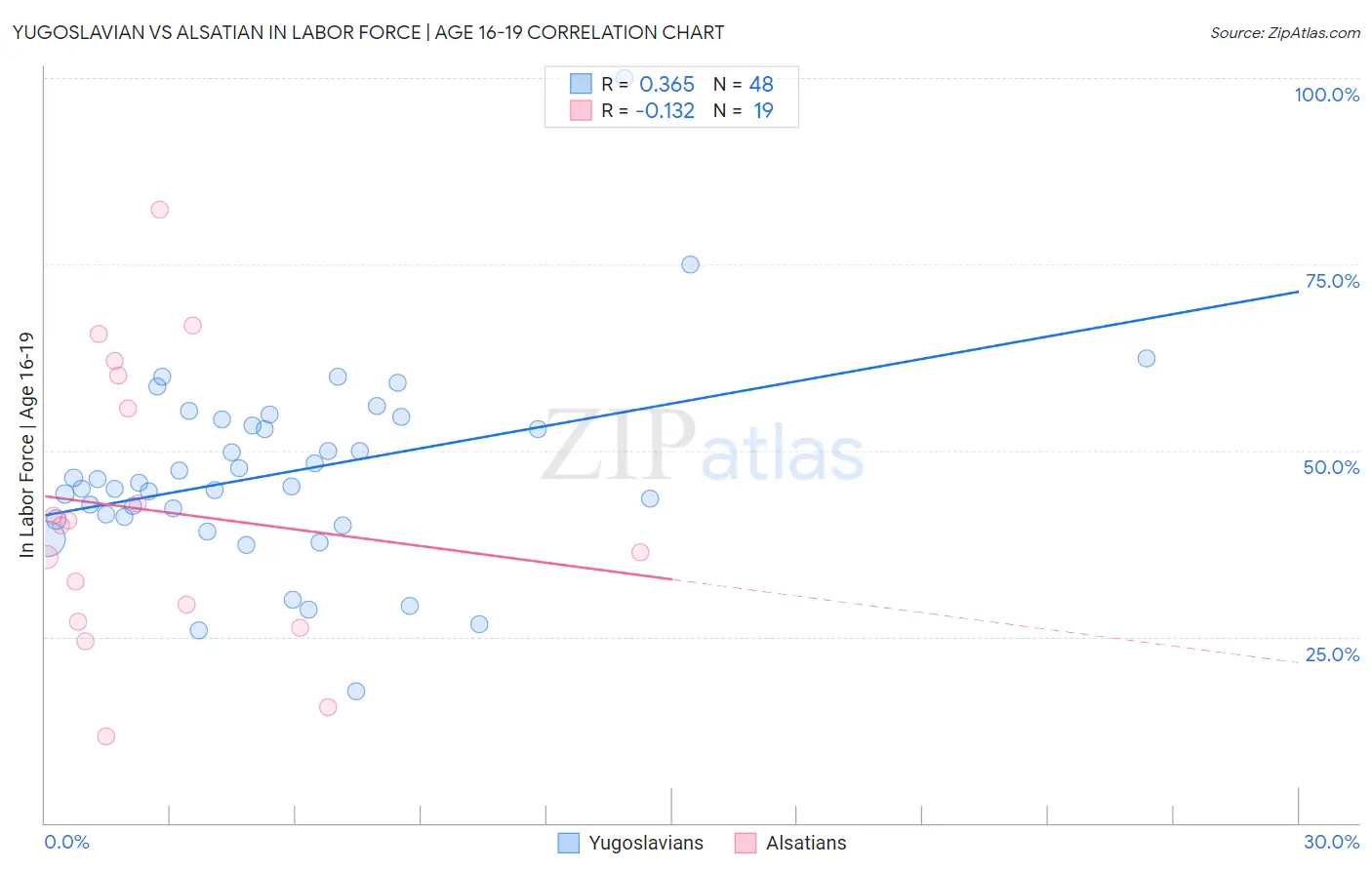 Yugoslavian vs Alsatian In Labor Force | Age 16-19