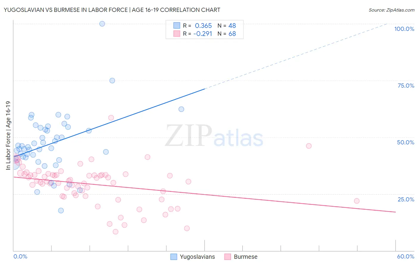 Yugoslavian vs Burmese In Labor Force | Age 16-19