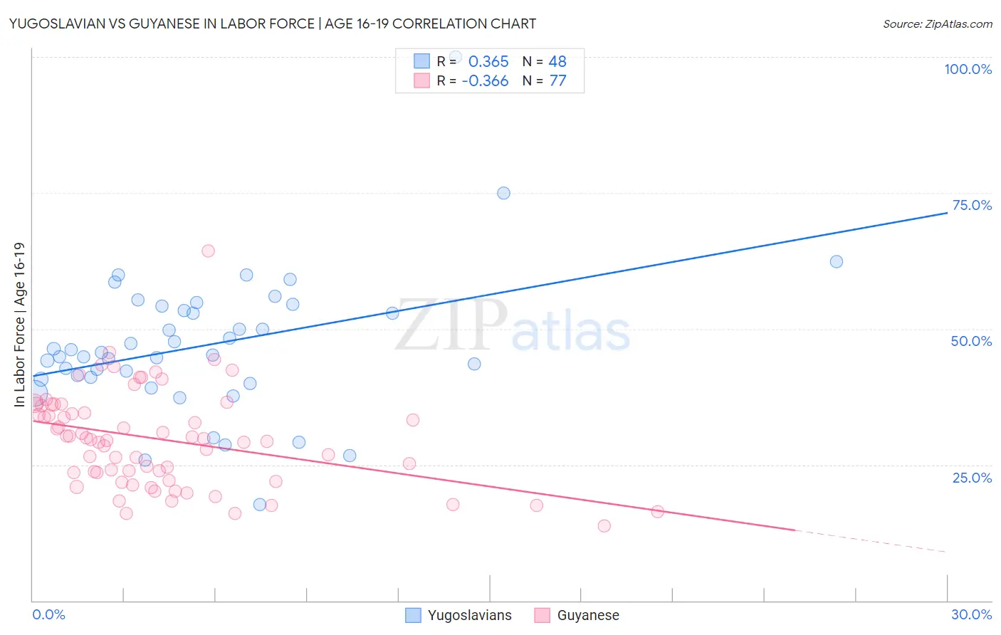 Yugoslavian vs Guyanese In Labor Force | Age 16-19