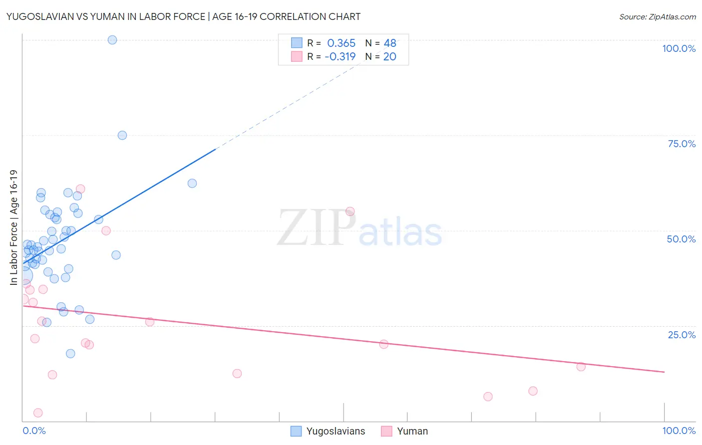 Yugoslavian vs Yuman In Labor Force | Age 16-19