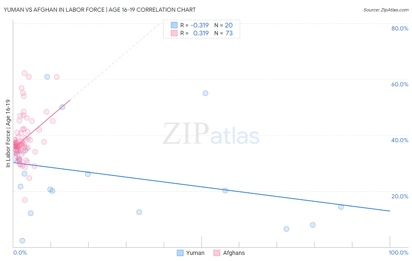 Yuman vs Afghan In Labor Force | Age 16-19