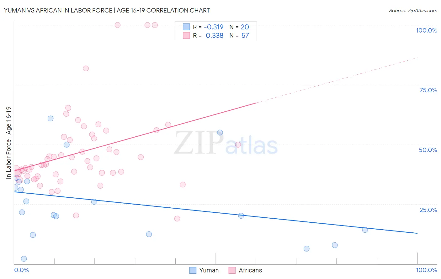 Yuman vs African In Labor Force | Age 16-19