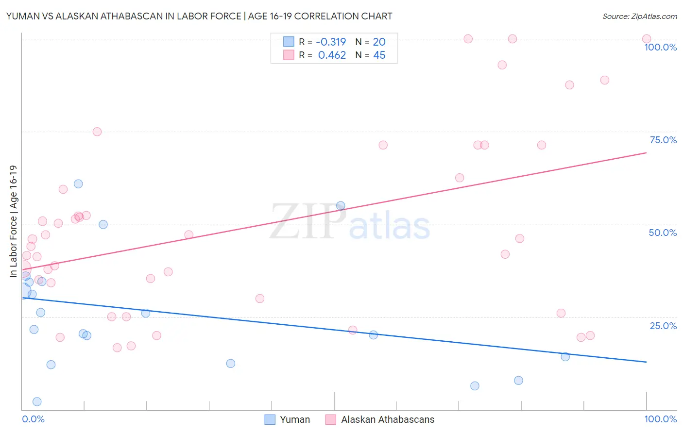 Yuman vs Alaskan Athabascan In Labor Force | Age 16-19