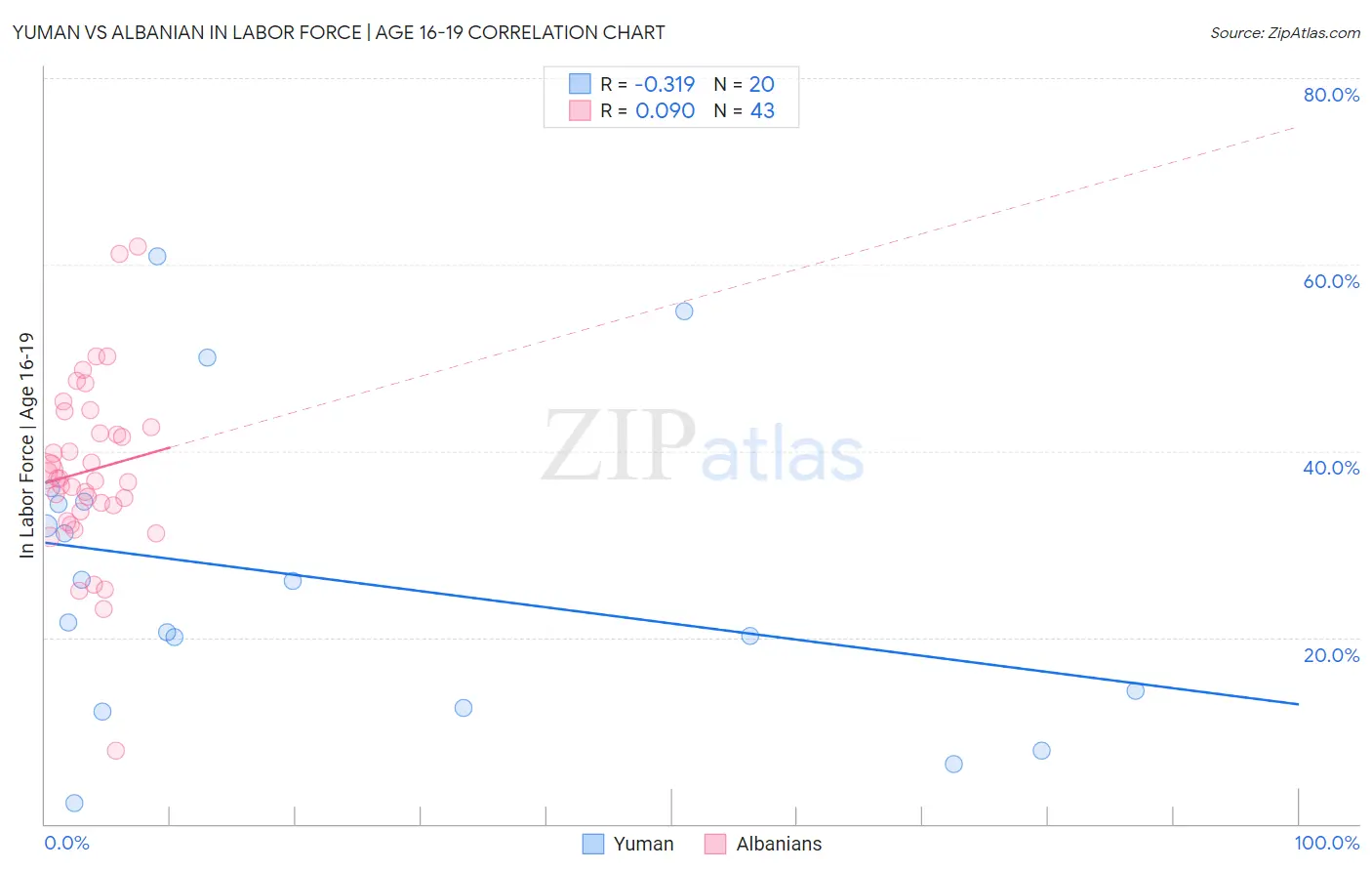 Yuman vs Albanian In Labor Force | Age 16-19