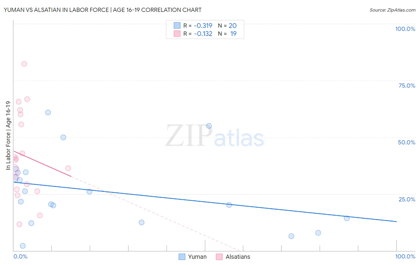 Yuman vs Alsatian In Labor Force | Age 16-19