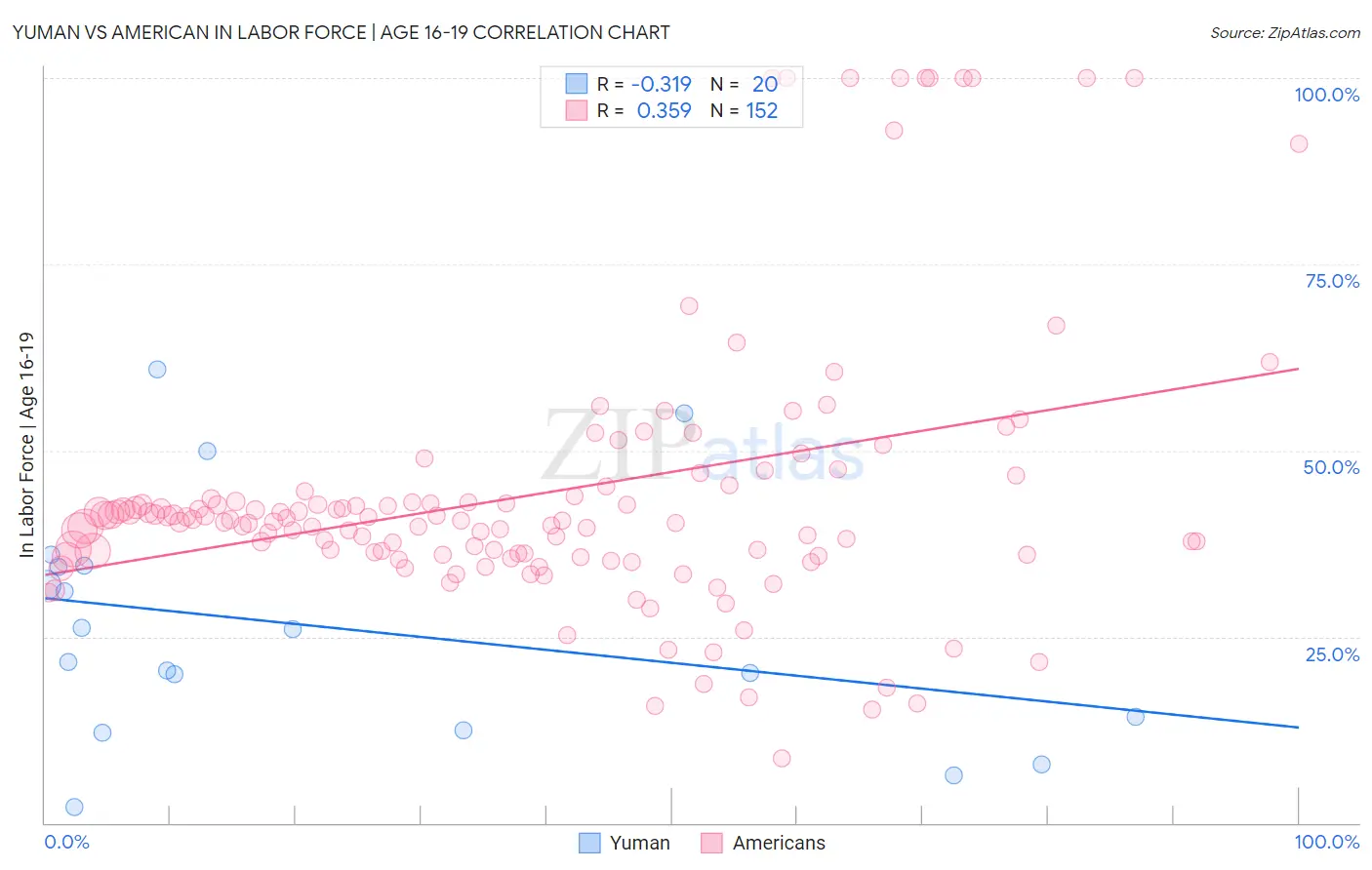 Yuman vs American In Labor Force | Age 16-19