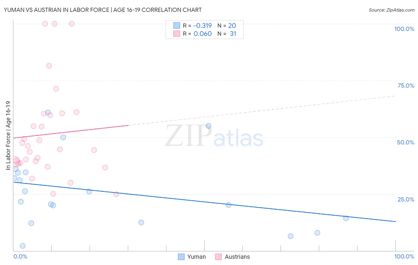 Yuman vs Austrian In Labor Force | Age 16-19
