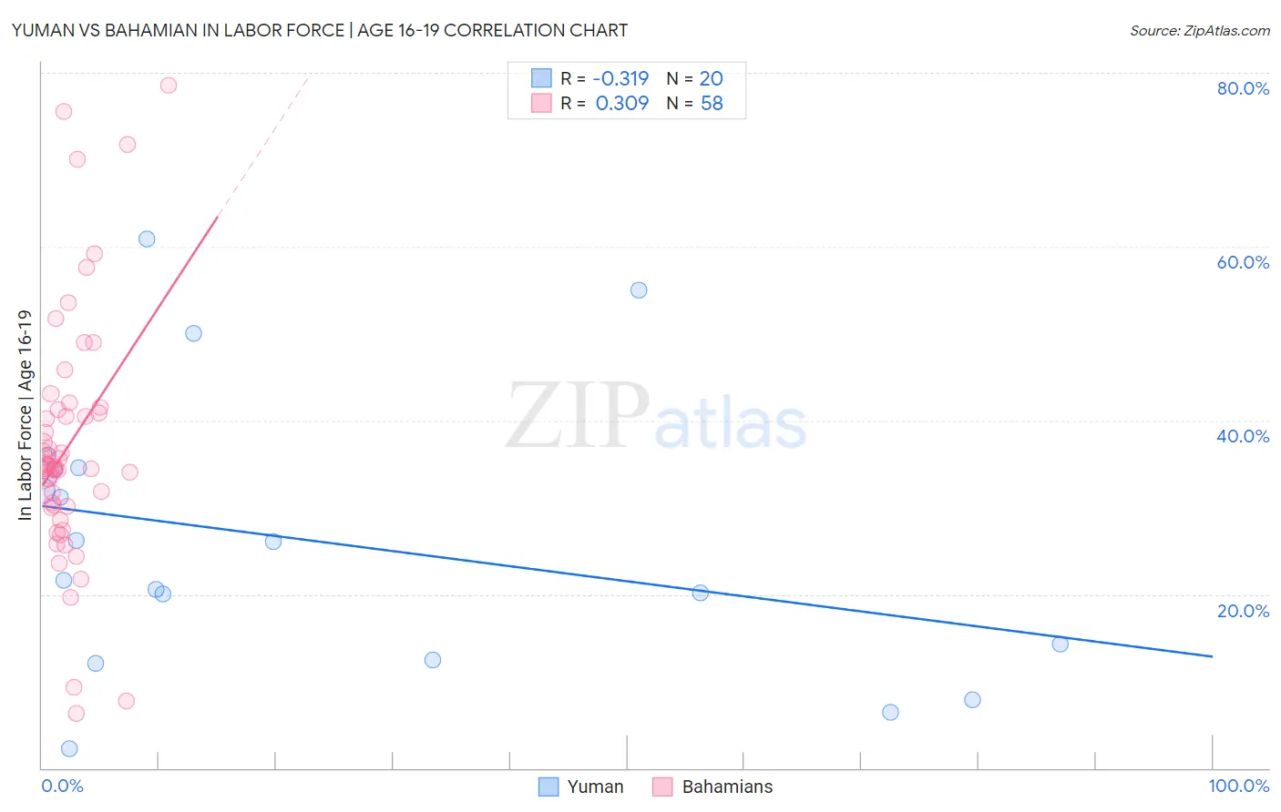 Yuman vs Bahamian In Labor Force | Age 16-19
