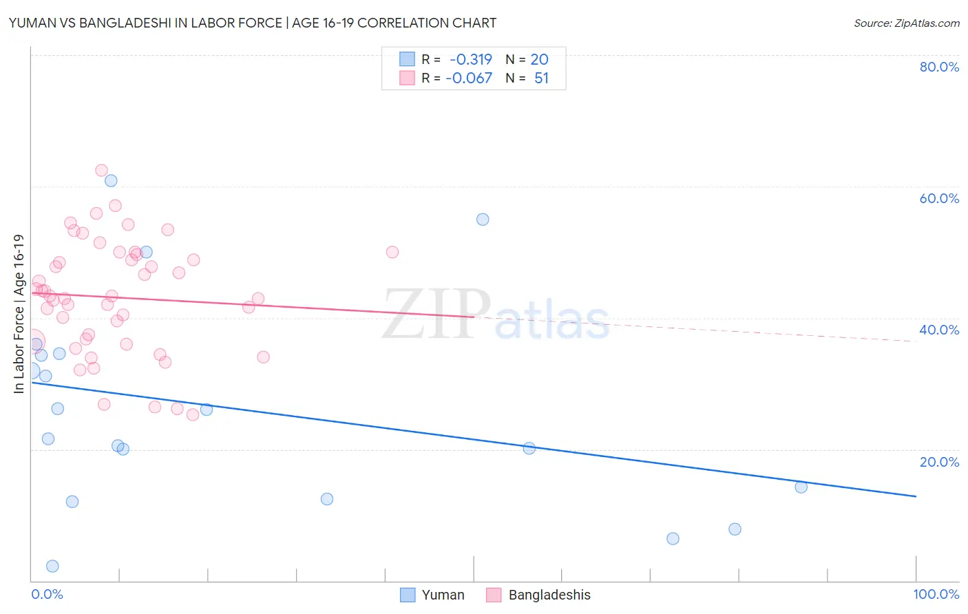 Yuman vs Bangladeshi In Labor Force | Age 16-19