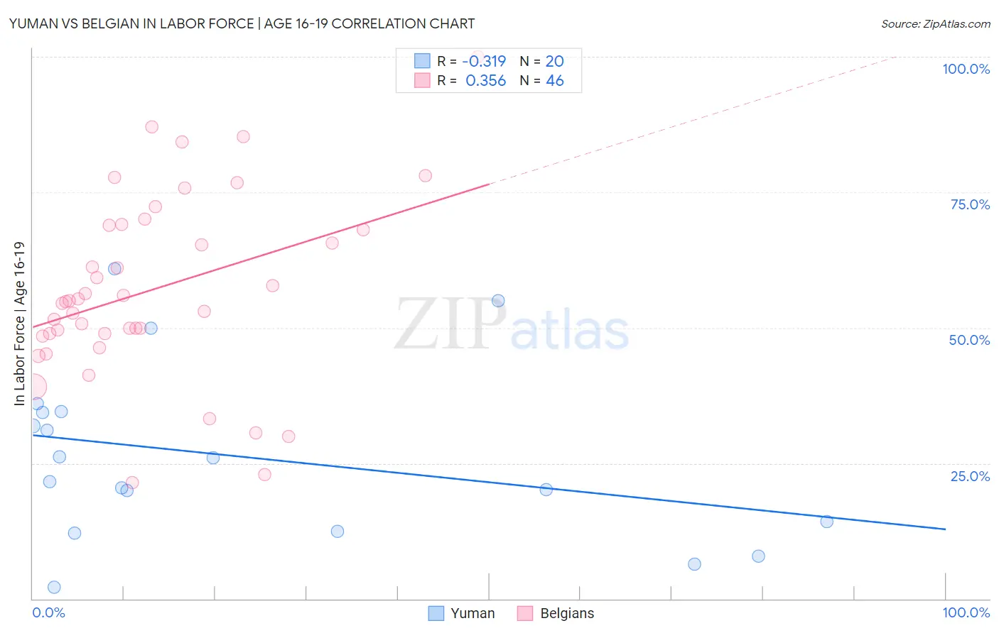 Yuman vs Belgian In Labor Force | Age 16-19