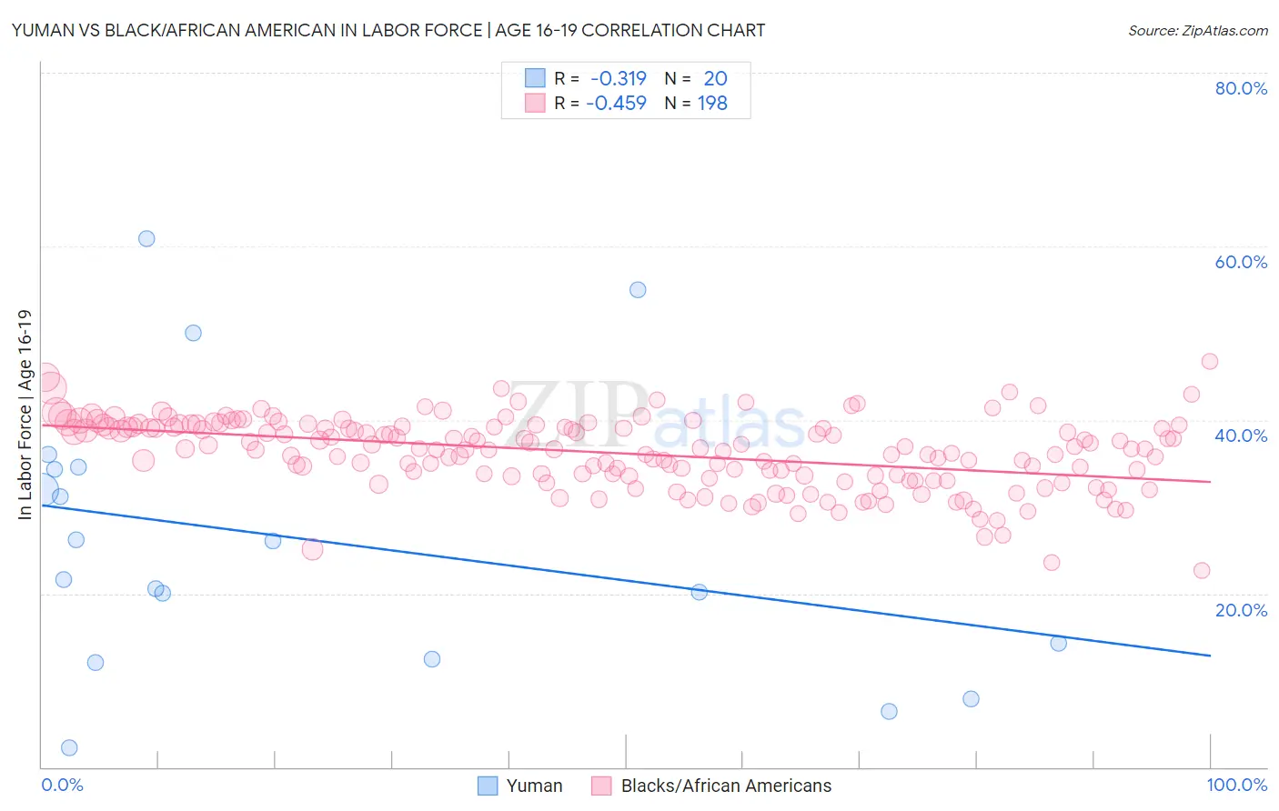 Yuman vs Black/African American In Labor Force | Age 16-19