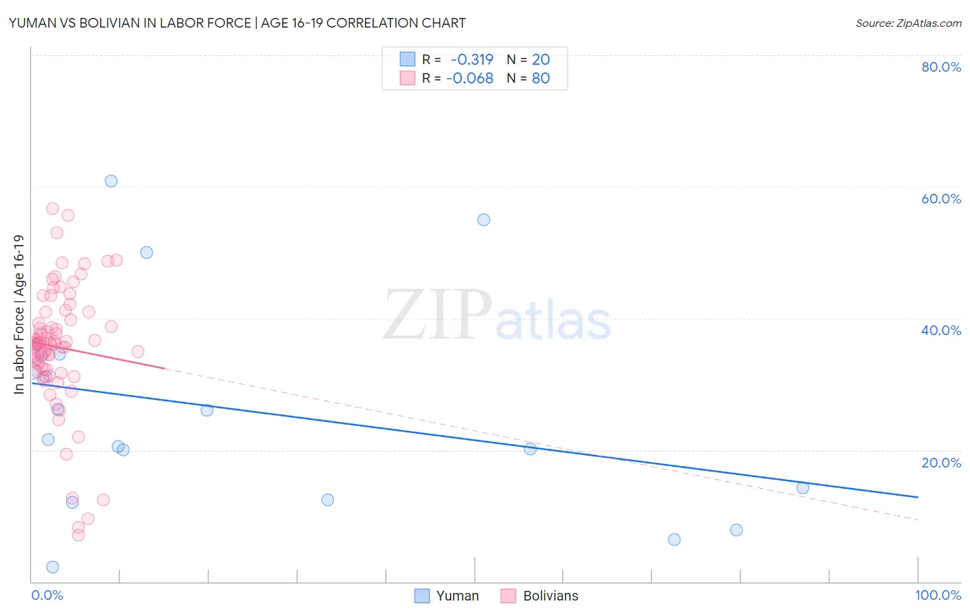 Yuman vs Bolivian In Labor Force | Age 16-19
