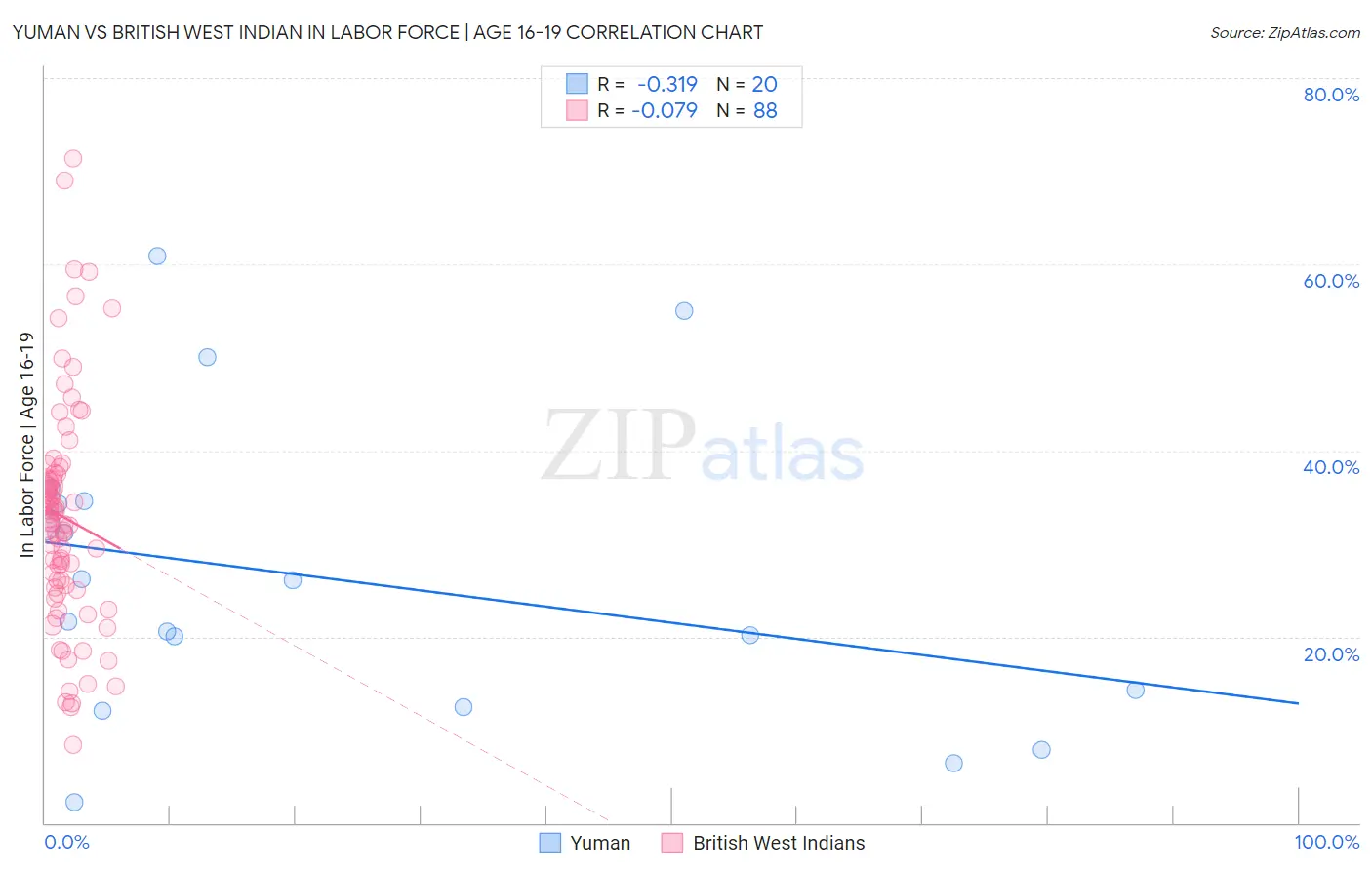 Yuman vs British West Indian In Labor Force | Age 16-19