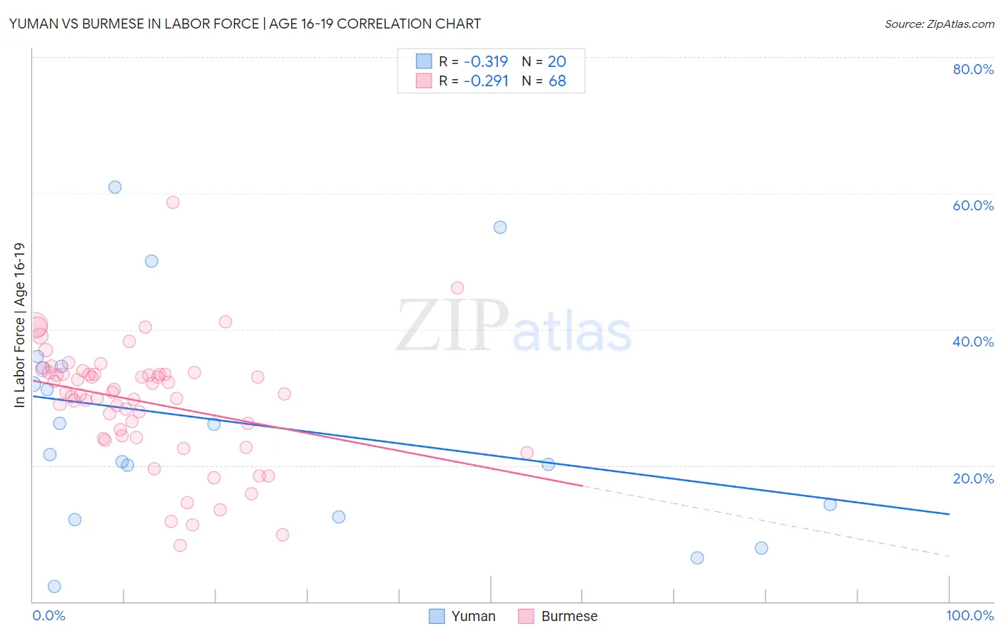 Yuman vs Burmese In Labor Force | Age 16-19