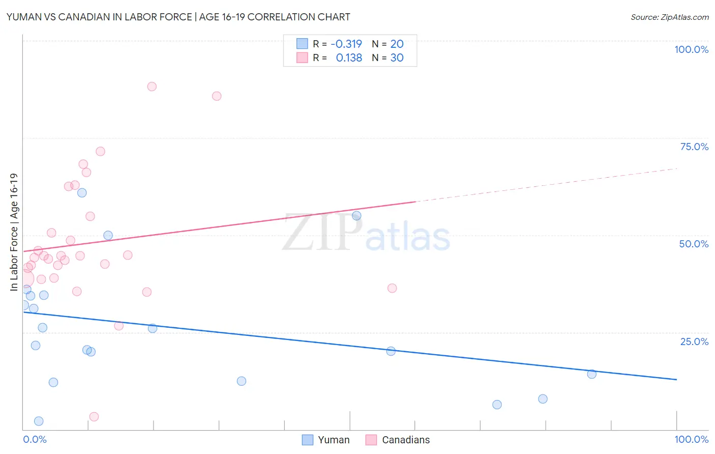 Yuman vs Canadian In Labor Force | Age 16-19