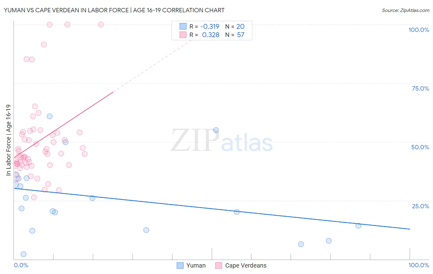 Yuman vs Cape Verdean In Labor Force | Age 16-19