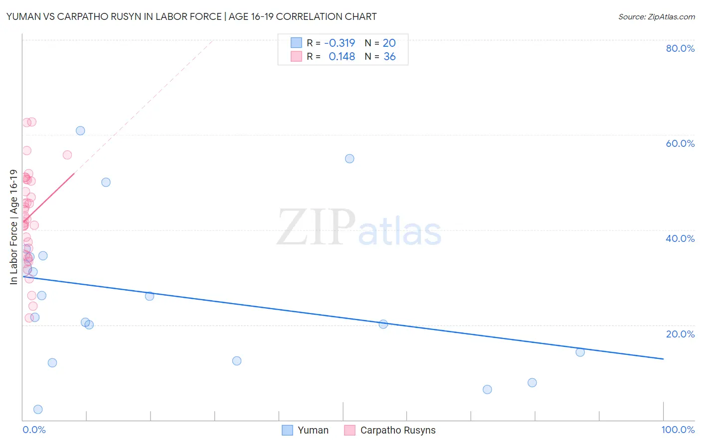 Yuman vs Carpatho Rusyn In Labor Force | Age 16-19