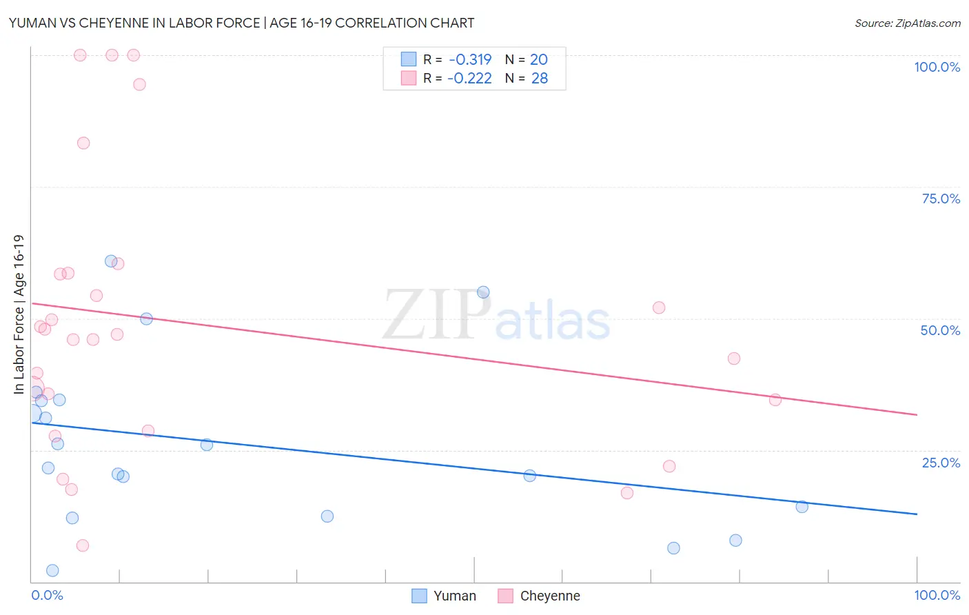 Yuman vs Cheyenne In Labor Force | Age 16-19