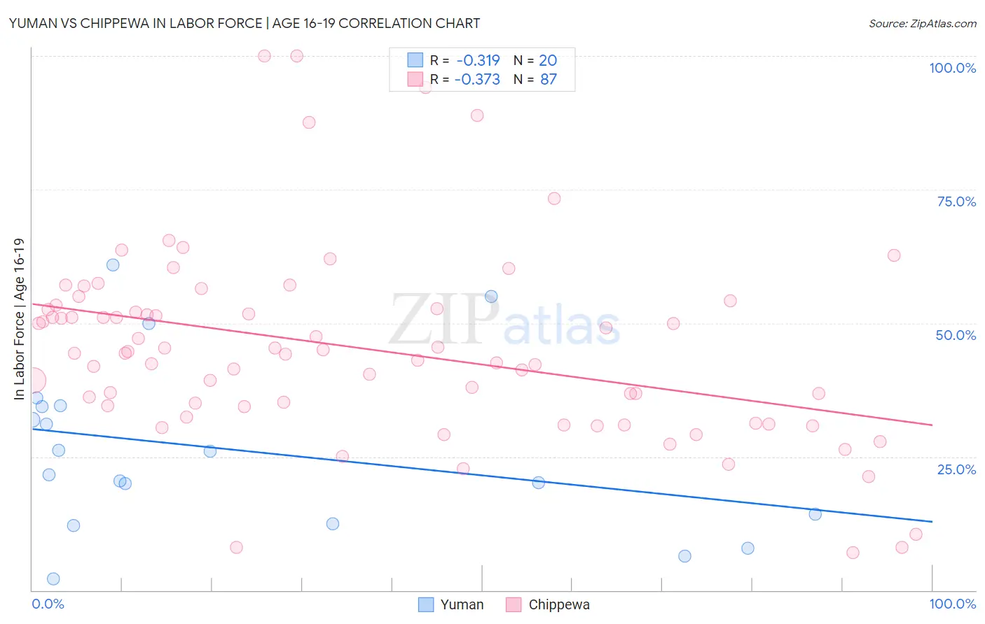 Yuman vs Chippewa In Labor Force | Age 16-19