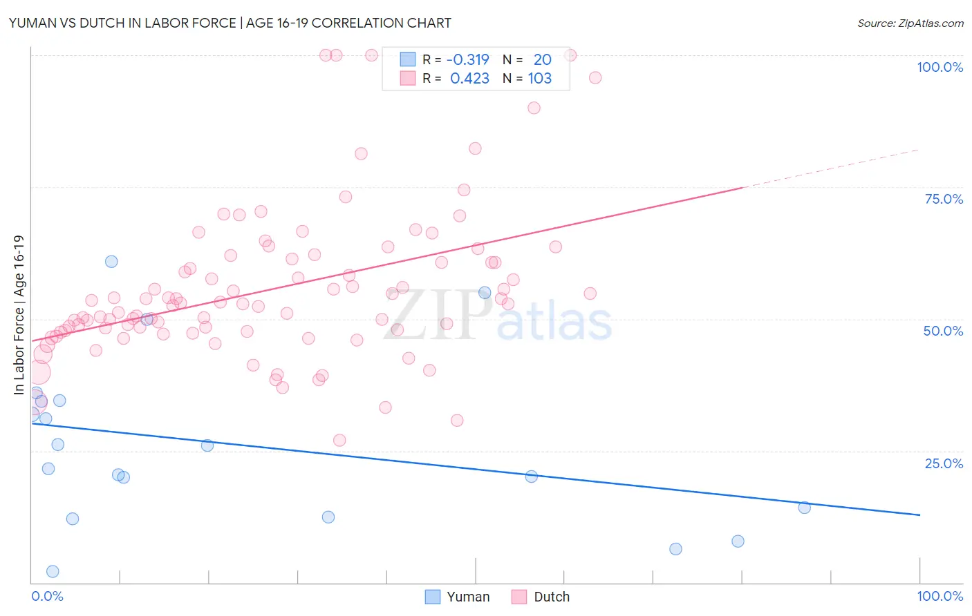 Yuman vs Dutch In Labor Force | Age 16-19