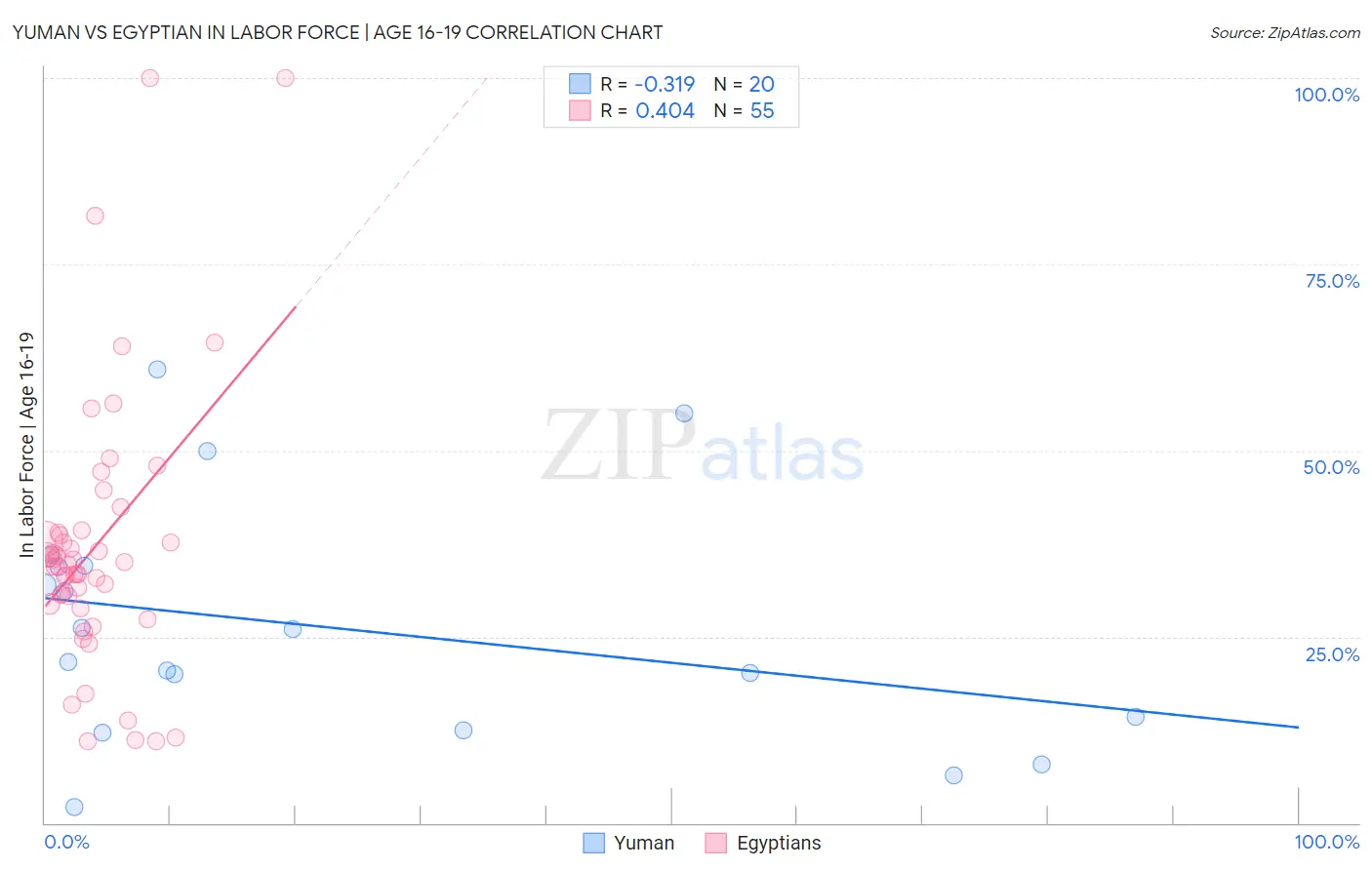 Yuman vs Egyptian In Labor Force | Age 16-19