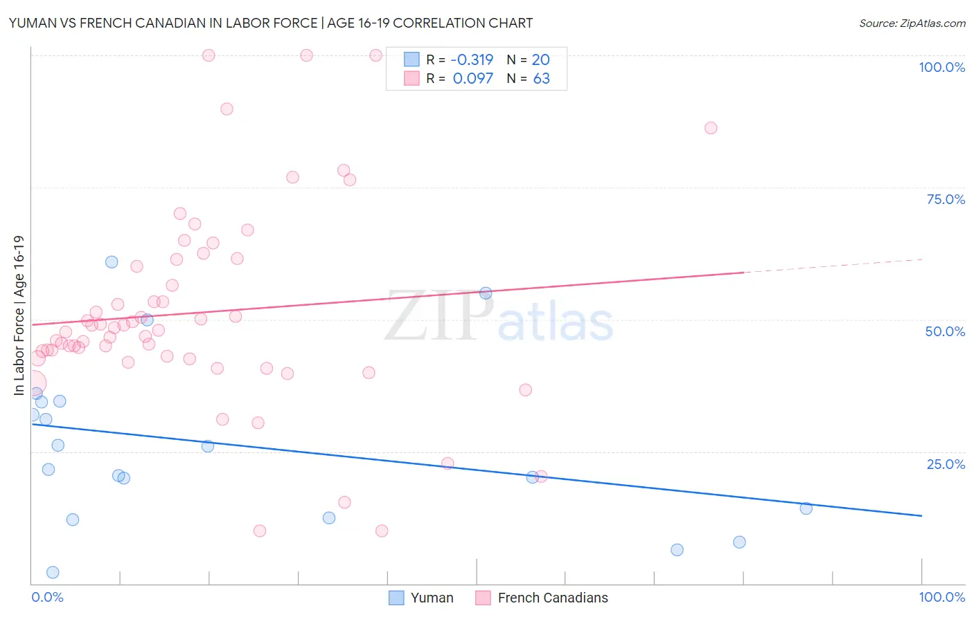 Yuman vs French Canadian In Labor Force | Age 16-19