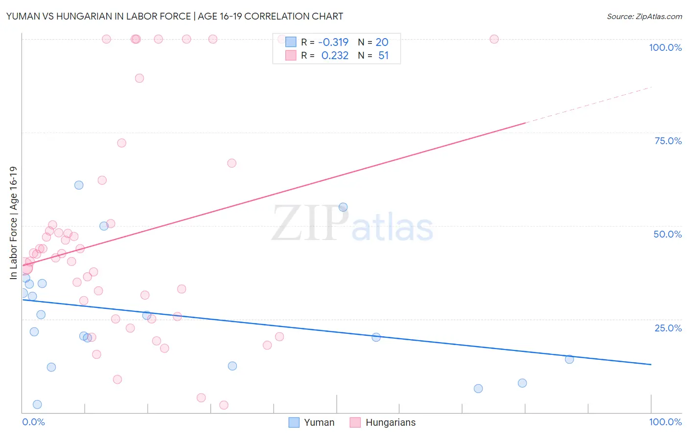 Yuman vs Hungarian In Labor Force | Age 16-19