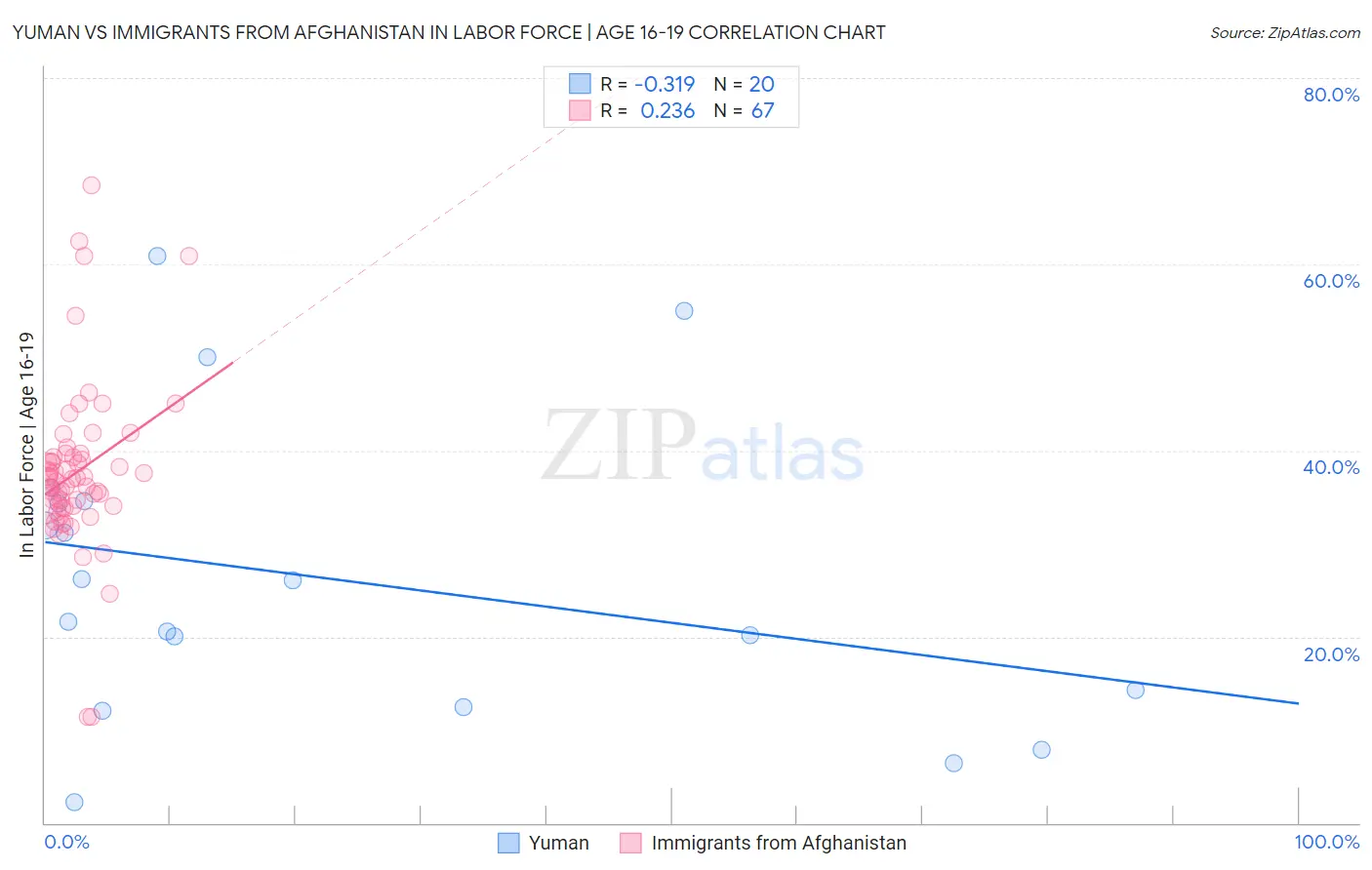 Yuman vs Immigrants from Afghanistan In Labor Force | Age 16-19