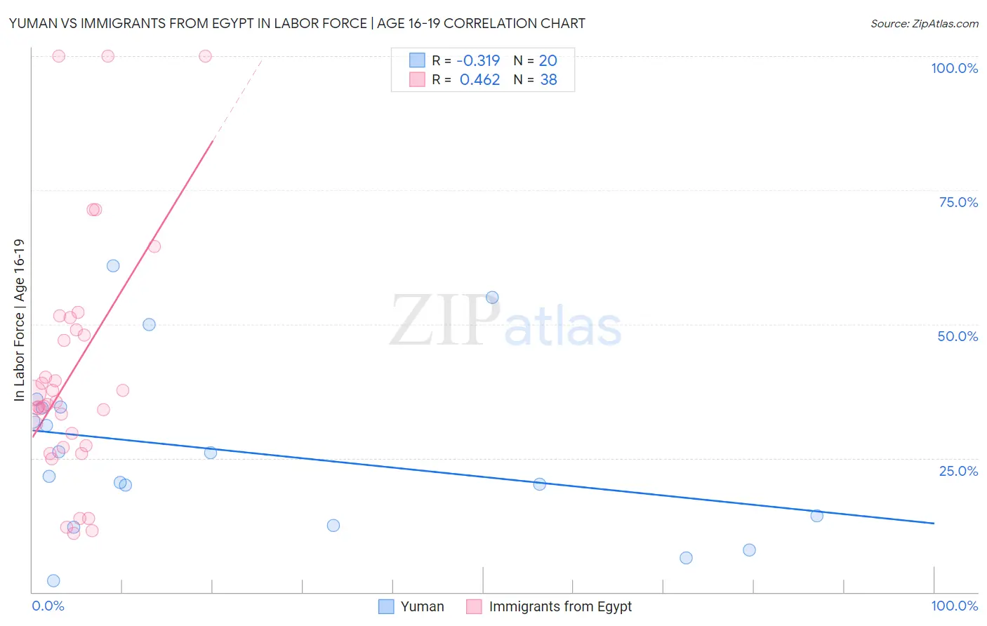 Yuman vs Immigrants from Egypt In Labor Force | Age 16-19