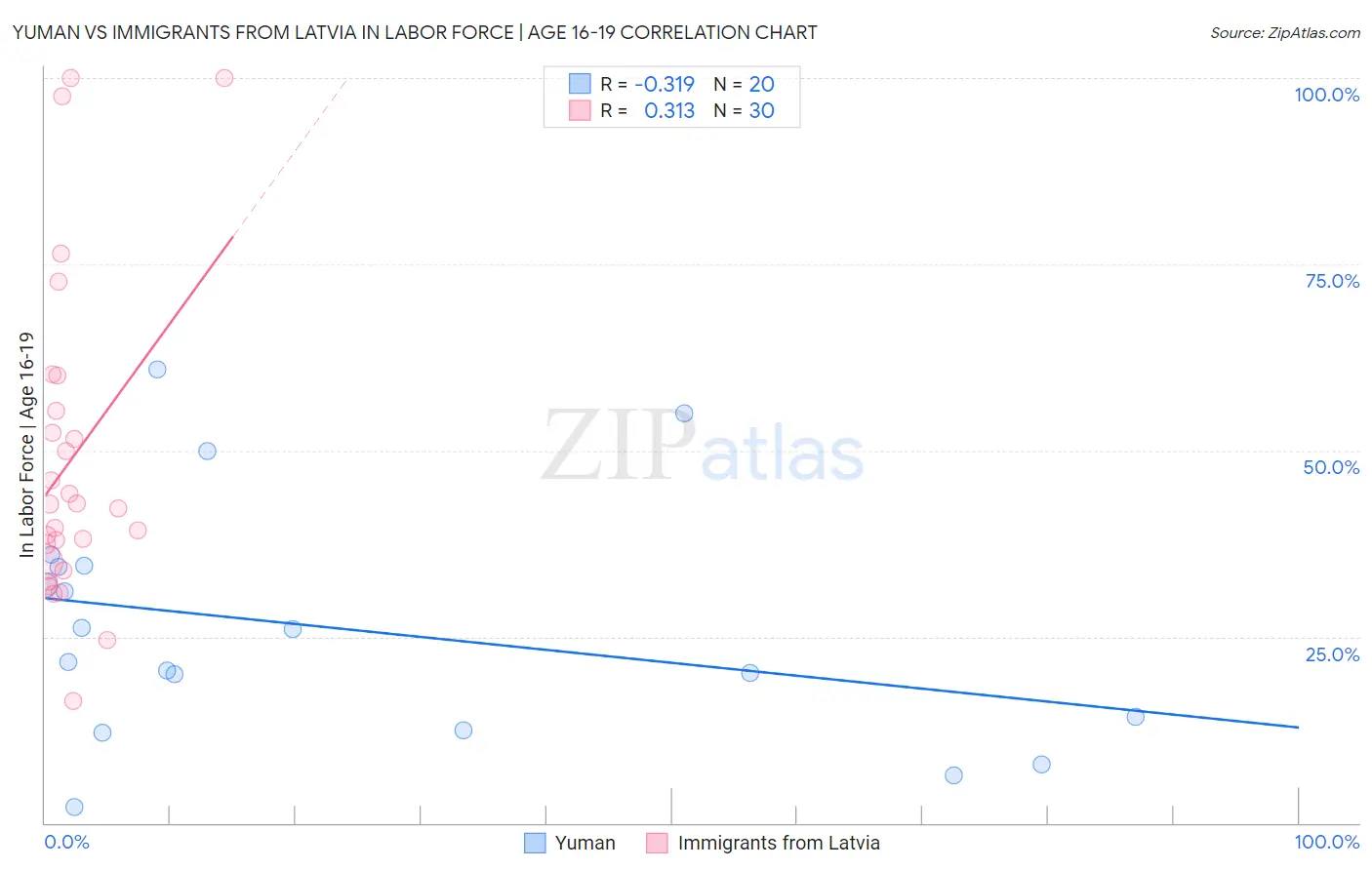 Yuman vs Immigrants from Latvia In Labor Force | Age 16-19