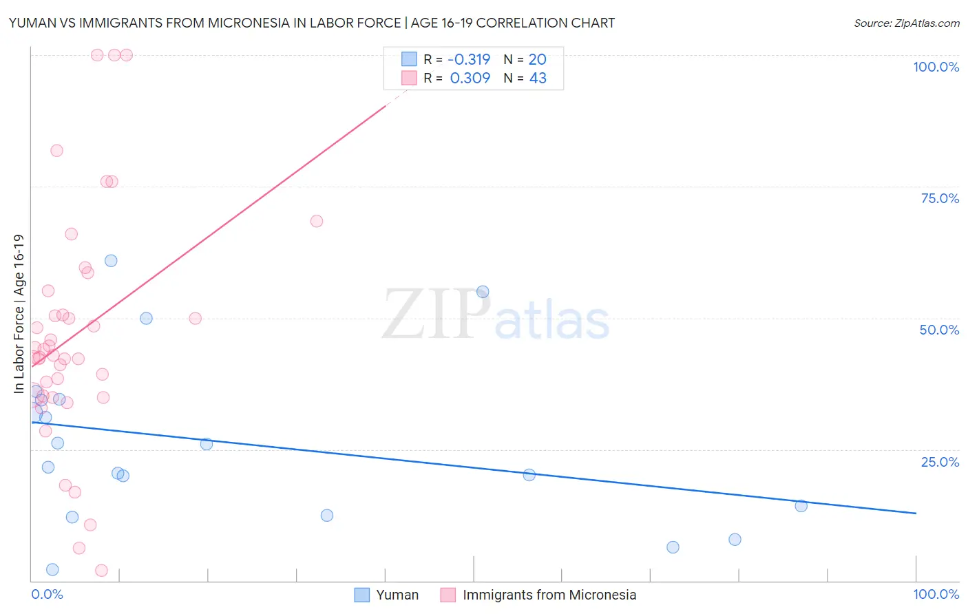 Yuman vs Immigrants from Micronesia In Labor Force | Age 16-19