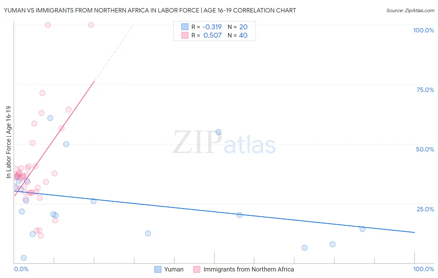 Yuman vs Immigrants from Northern Africa In Labor Force | Age 16-19