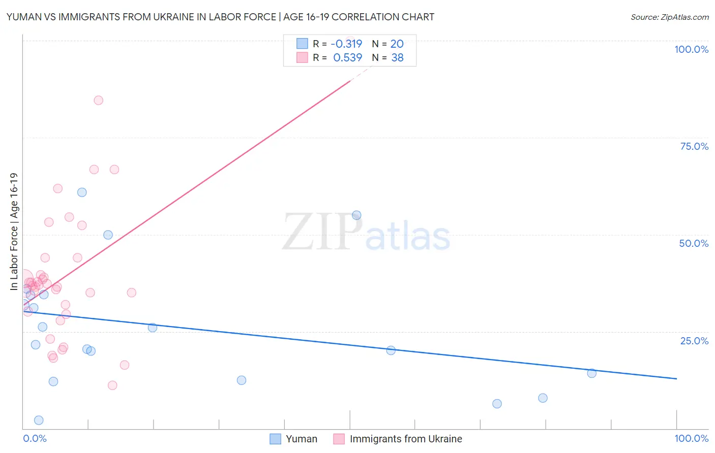 Yuman vs Immigrants from Ukraine In Labor Force | Age 16-19
