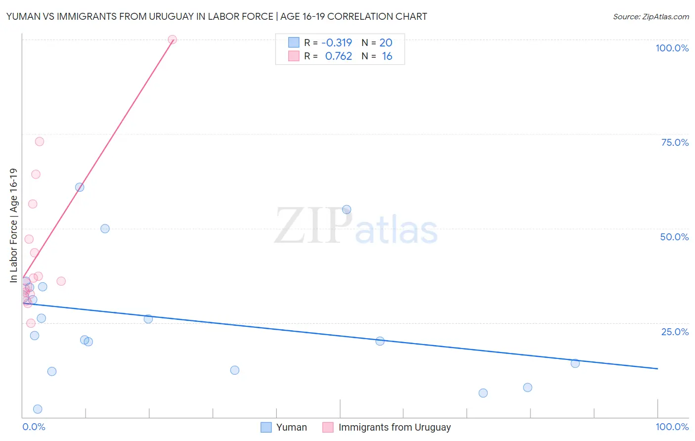 Yuman vs Immigrants from Uruguay In Labor Force | Age 16-19