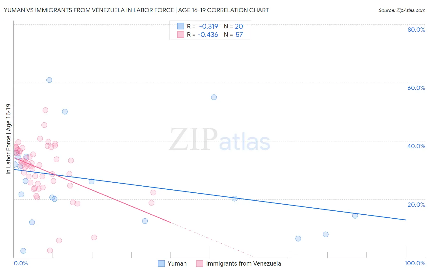 Yuman vs Immigrants from Venezuela In Labor Force | Age 16-19