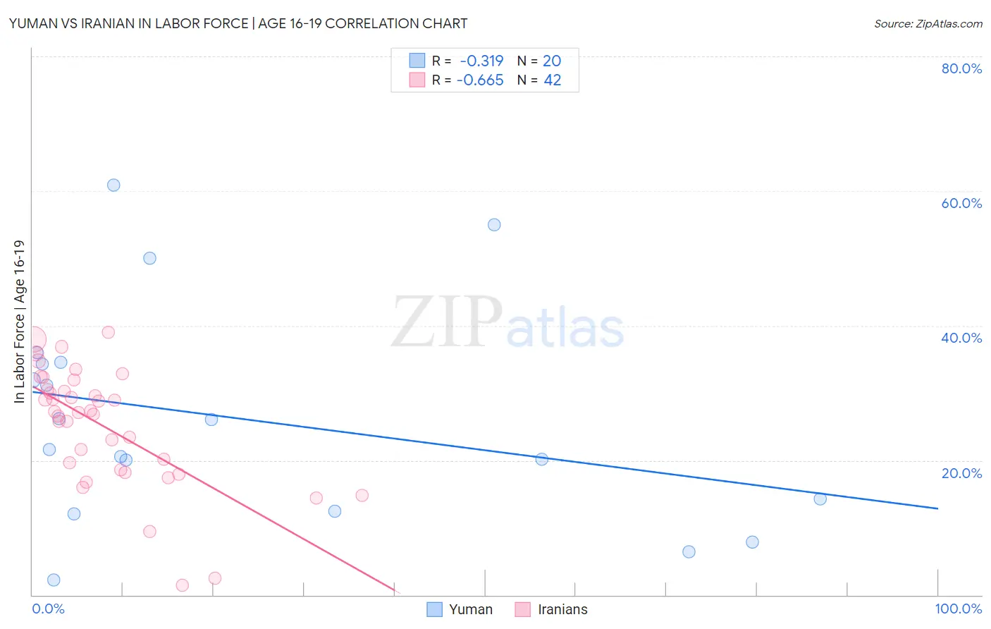 Yuman vs Iranian In Labor Force | Age 16-19