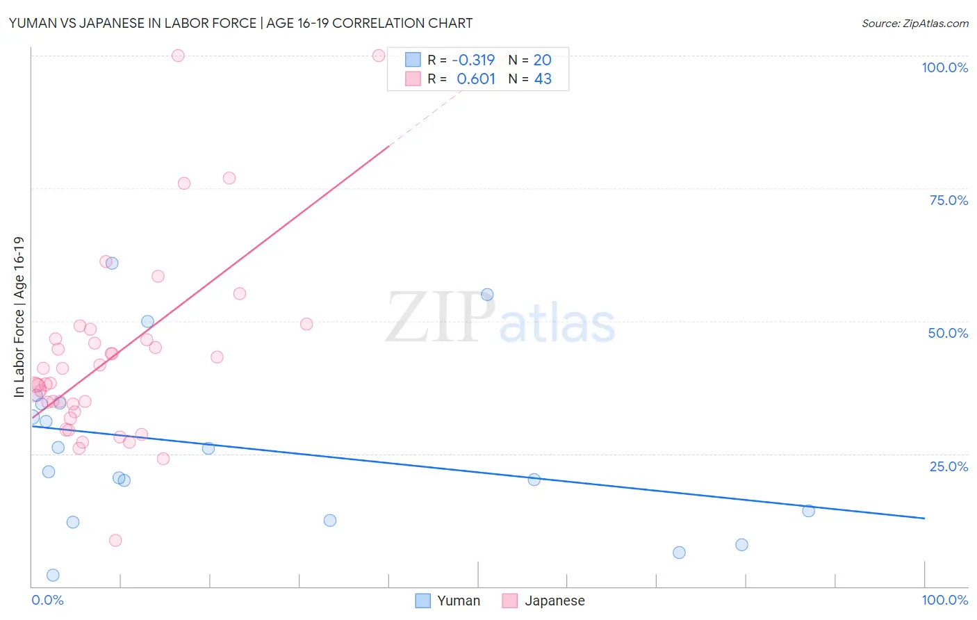 Yuman vs Japanese In Labor Force | Age 16-19