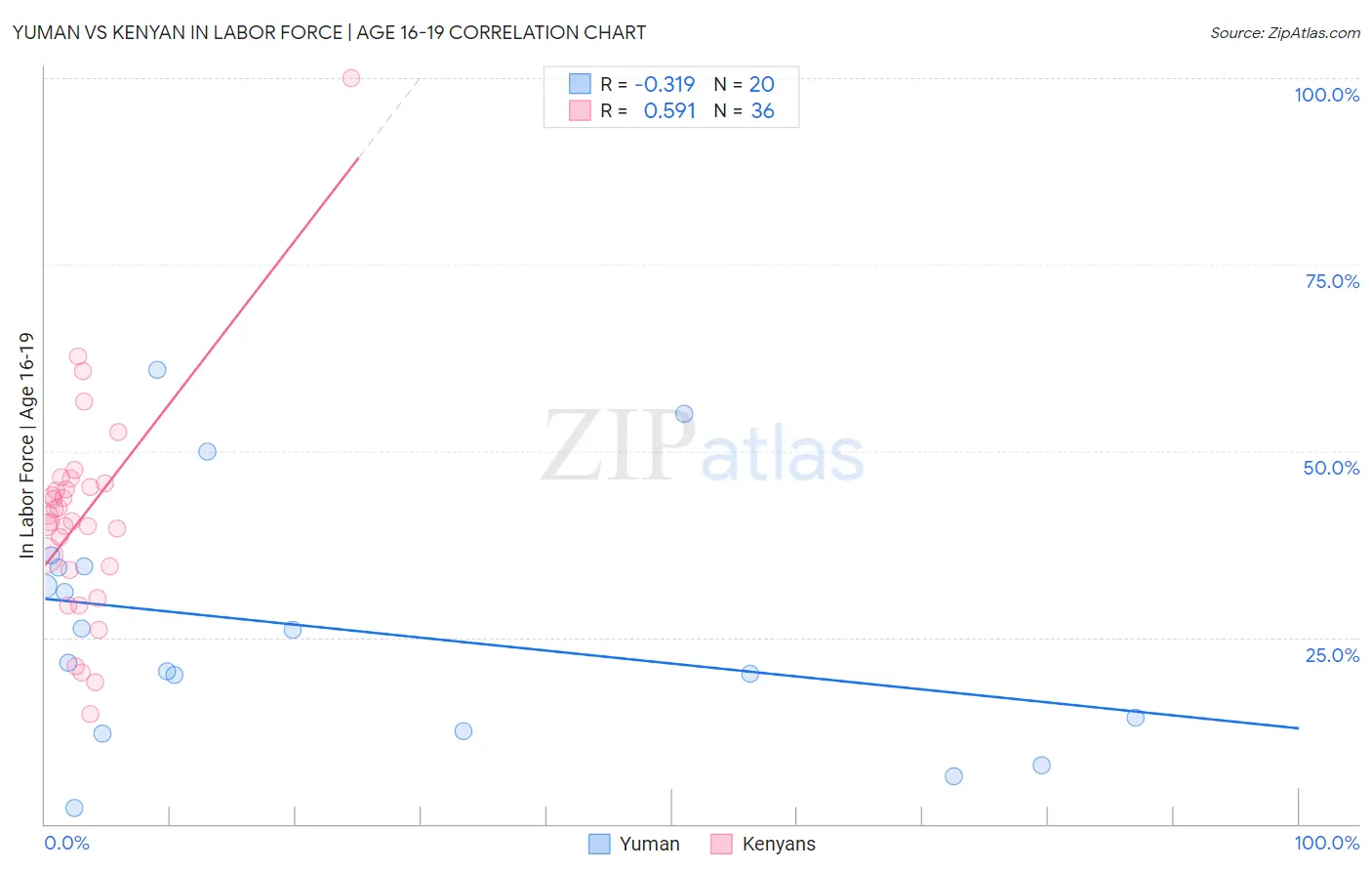 Yuman vs Kenyan In Labor Force | Age 16-19