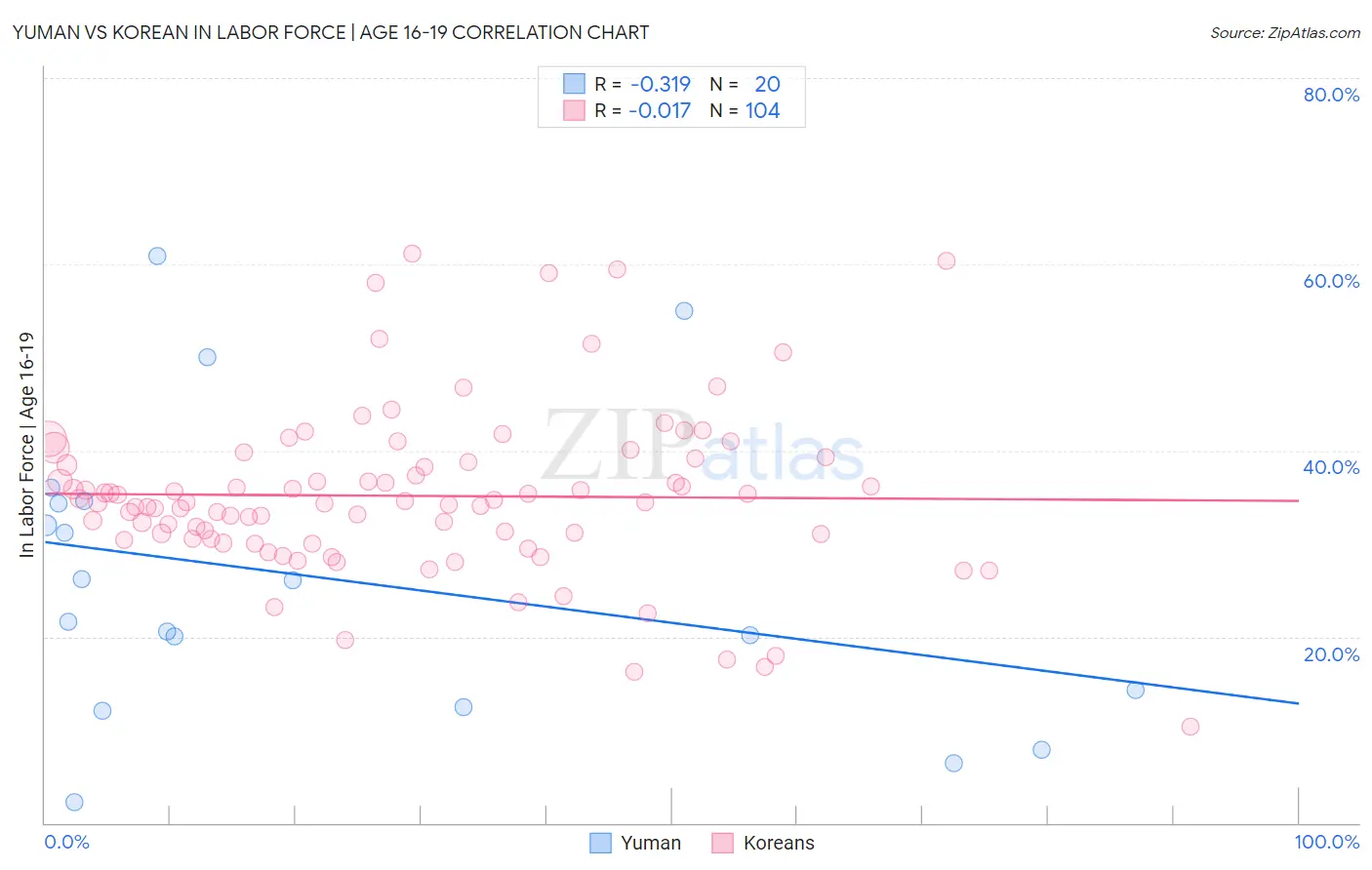 Yuman vs Korean In Labor Force | Age 16-19
