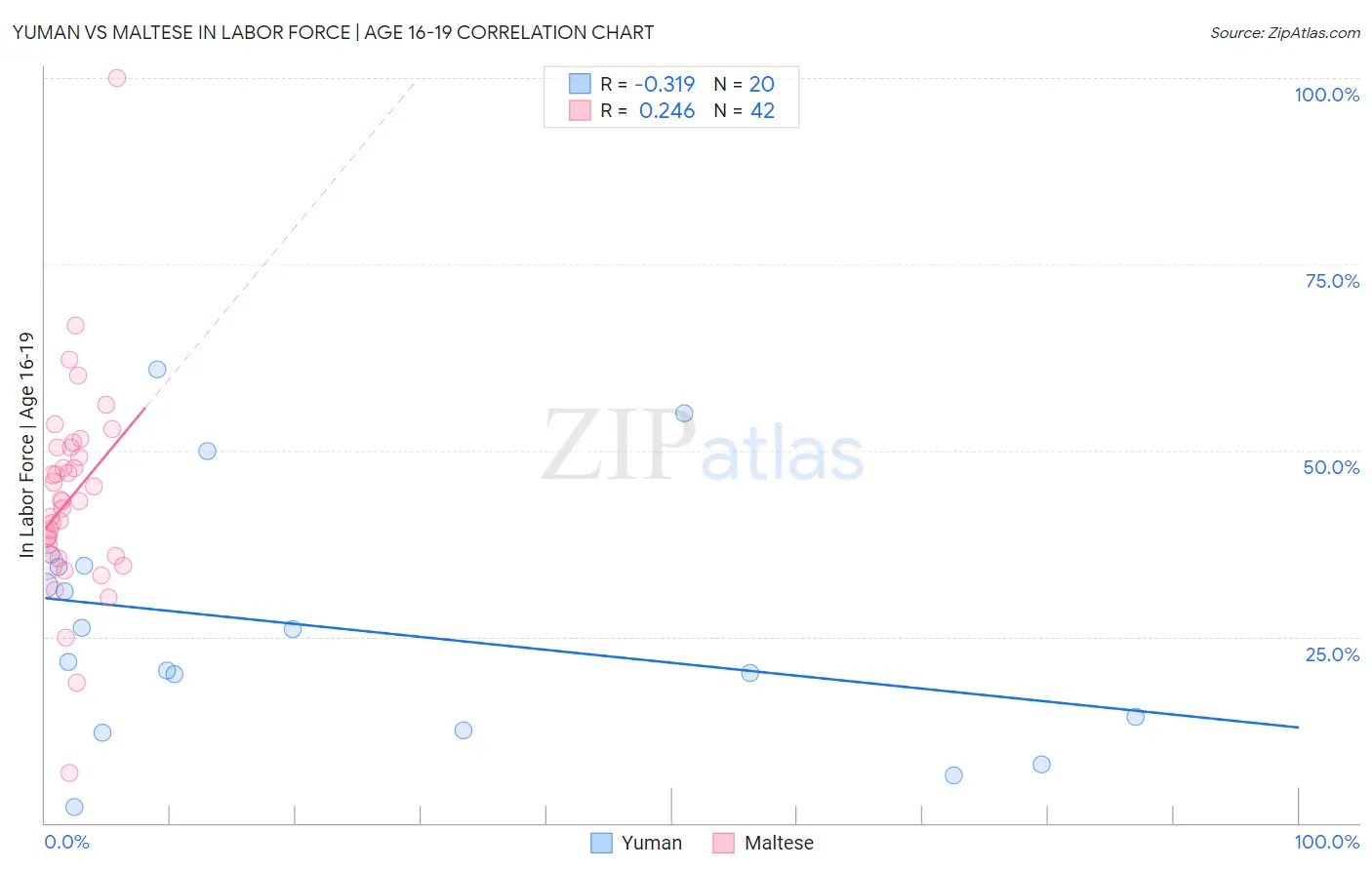 Yuman vs Maltese In Labor Force | Age 16-19