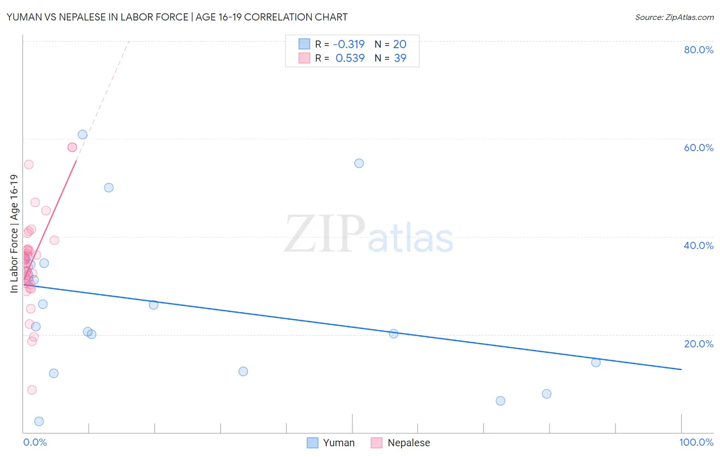 Yuman vs Nepalese In Labor Force | Age 16-19