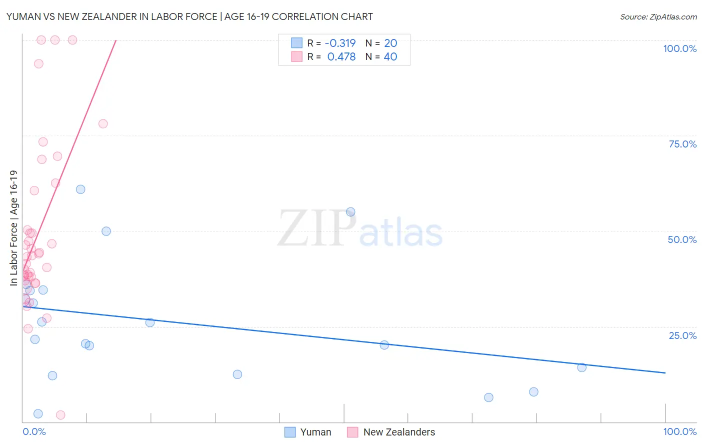 Yuman vs New Zealander In Labor Force | Age 16-19