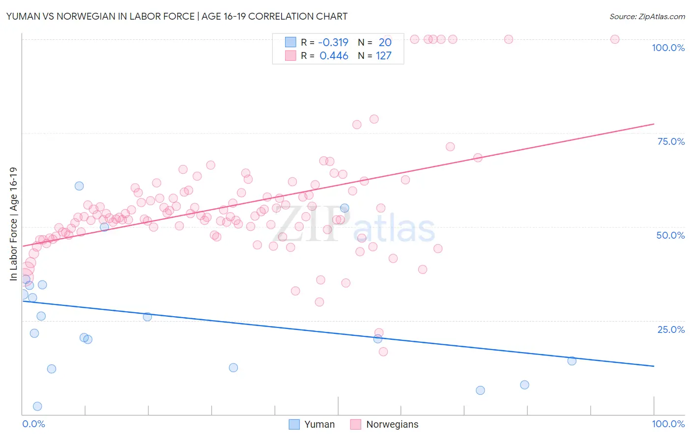 Yuman vs Norwegian In Labor Force | Age 16-19