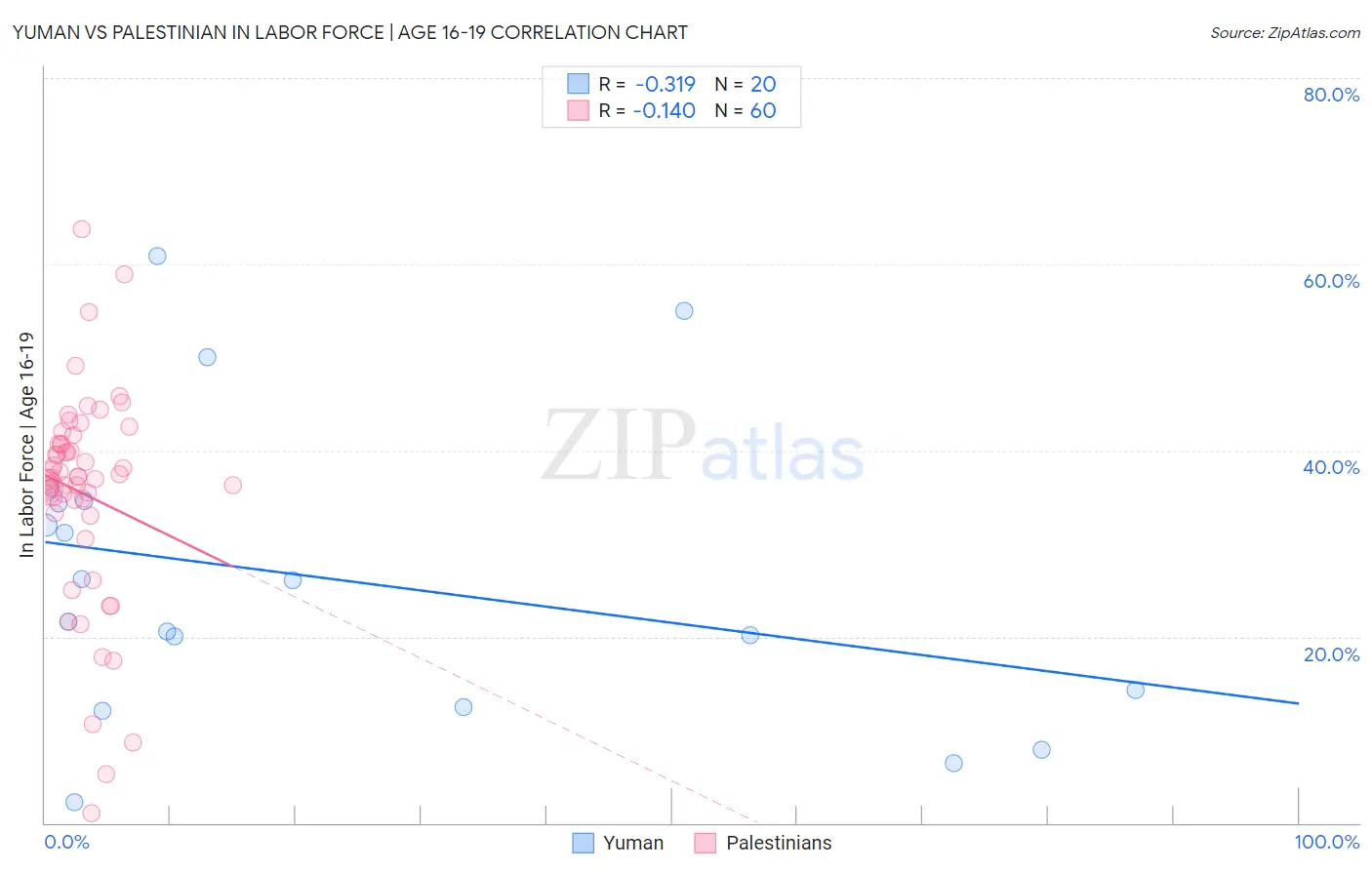 Yuman vs Palestinian In Labor Force | Age 16-19