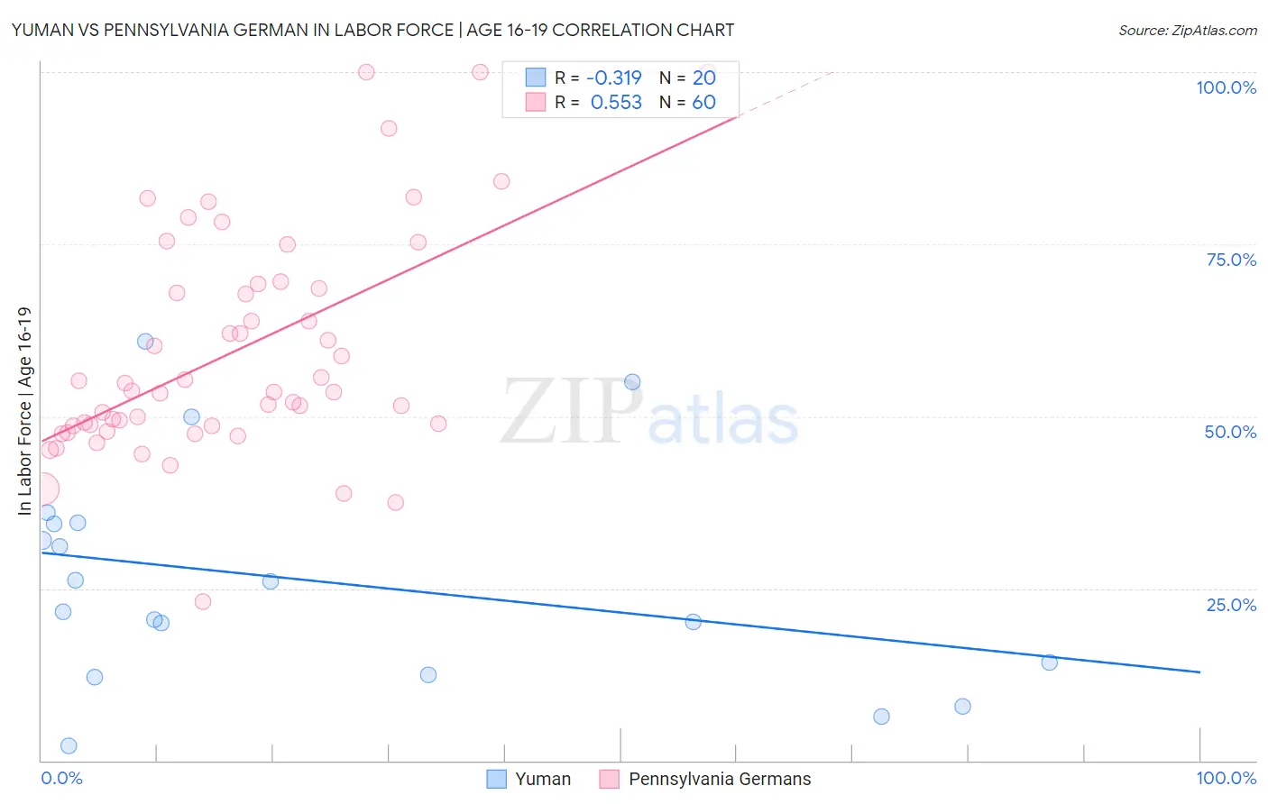 Yuman vs Pennsylvania German In Labor Force | Age 16-19
