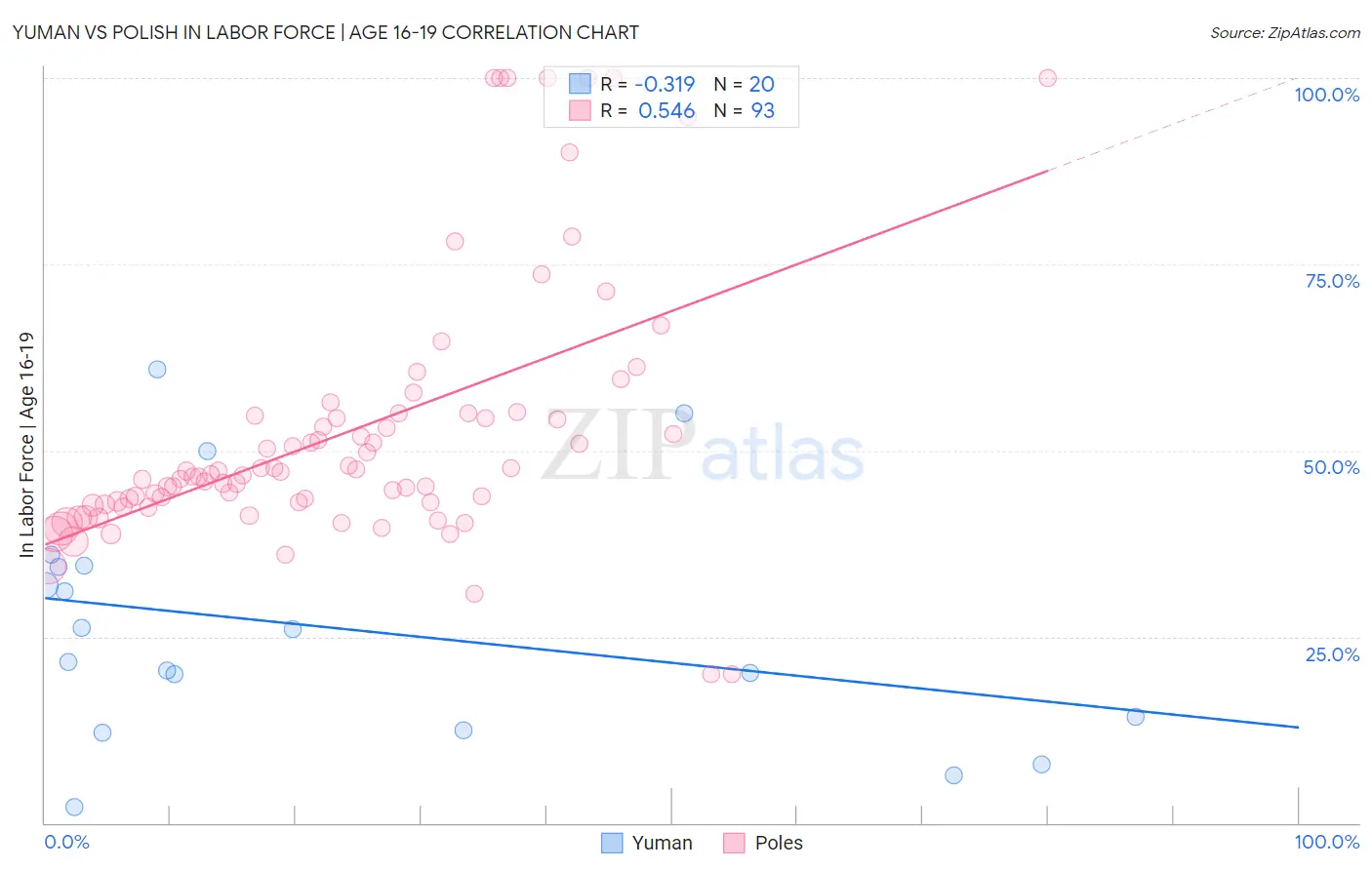 Yuman vs Polish In Labor Force | Age 16-19