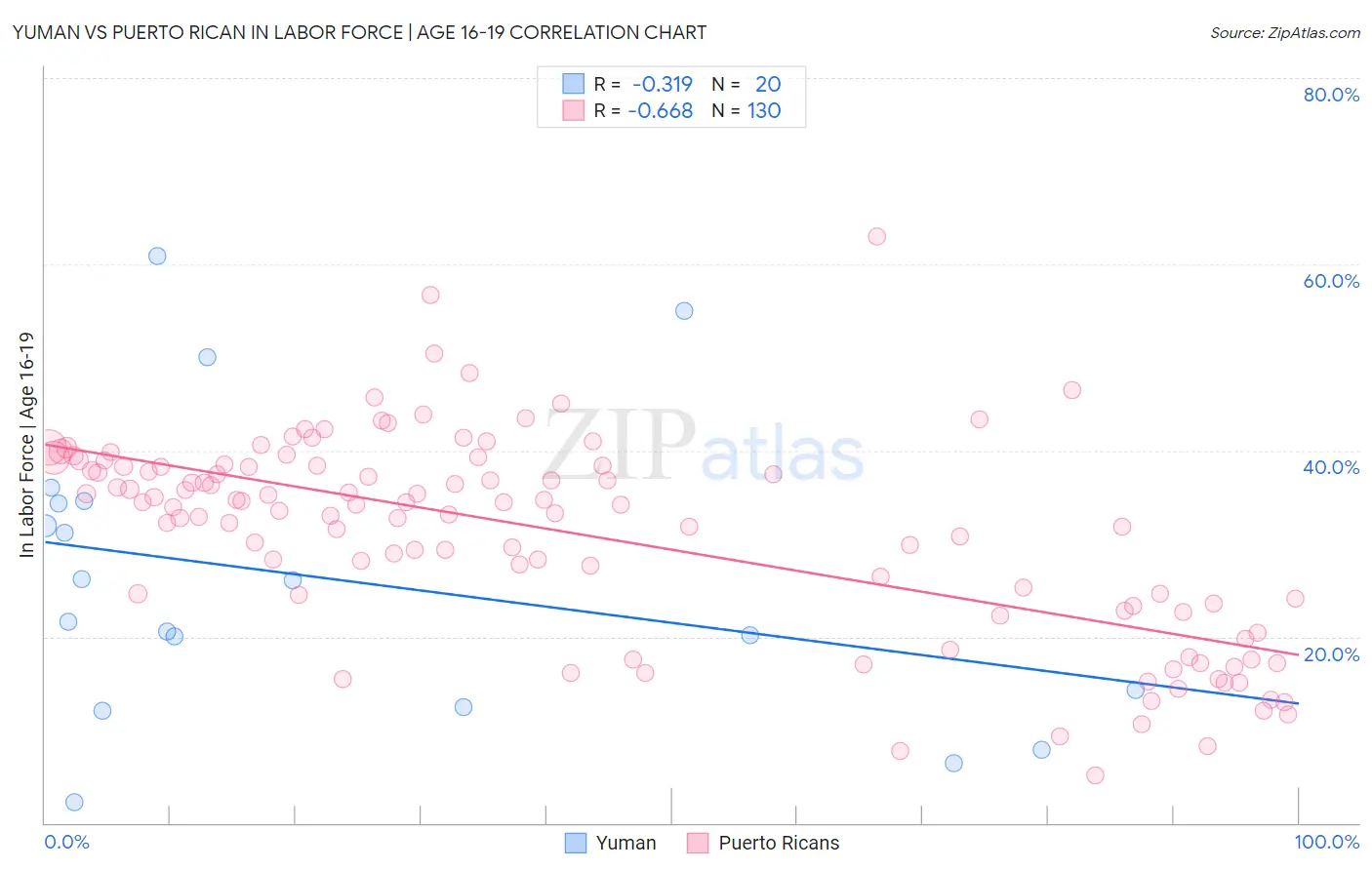 Yuman vs Puerto Rican In Labor Force | Age 16-19
